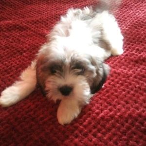 Meet your Posher, Ale